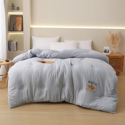 薇玛仕 2023新款A类水洗棉原棉大豆被冬被 原棉-太空灰