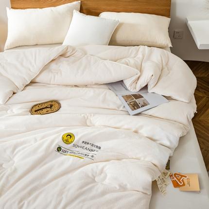 91家纺网 家纺一手货源 找家纺 (总) A+爱家 (纪梵茜) 2024新款豆眠大豆被冬被春秋被被子被芯李官奇大豆被