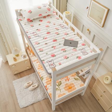 91家纺网 家纺一手货源 找家纺 （总）雅萱  2023新款大豆牛奶绒学生床护垫