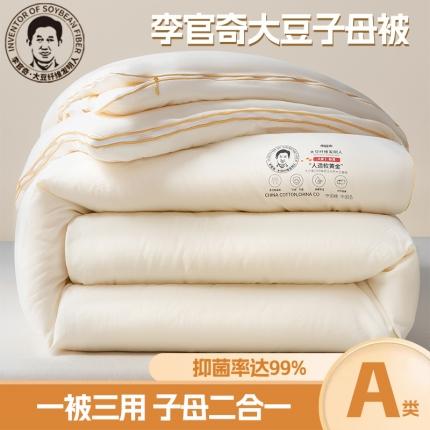 91家纺网 家纺一手货源 找家纺 （总）恒科2025新款李官奇大豆纤维被拉链款二合一子母被