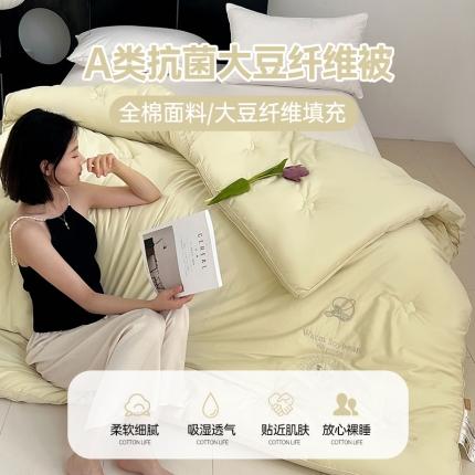 91家纺网 家纺一手货源 找家纺 （总）歌历斯家纺 2023新款亲肤舒适A类60s全棉大豆蝴蝶绣花被子被芯