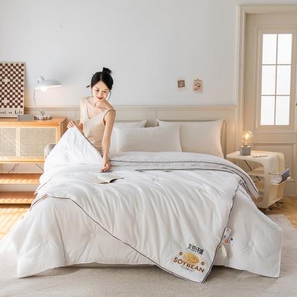 91家纺网 家纺一手货源 找家纺 （总）心悦 2023新款A类全棉磨毛大豆纤维二合一子母被