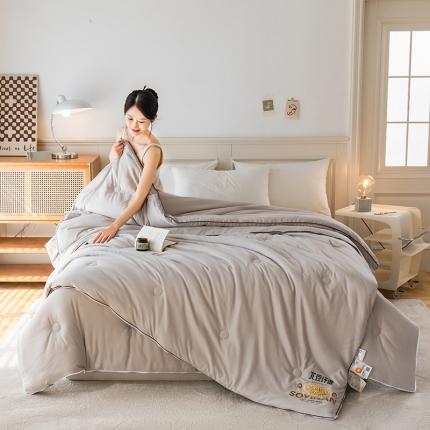 91家纺网 家纺一手货源 找家纺 心悦 2023新款A类全棉磨毛大豆纤维二合一子母被 绅士灰