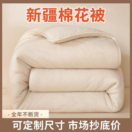(总) 居易简 2025新款渔纱网新疆棉花被子被芯