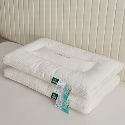 91家纺网 家纺一手货源 找家纺 （总）乐可 2023新款5防净睡枕 枕头枕芯