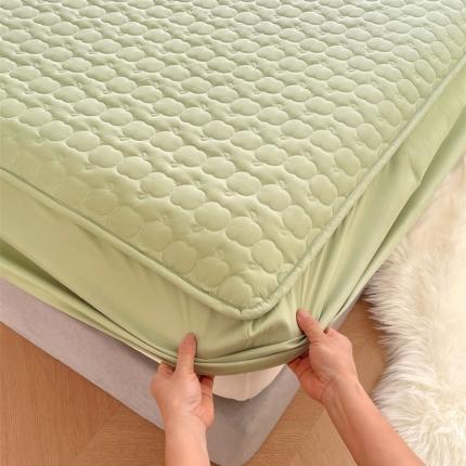 圣比熊 A类抗菌隔尿防水四季款夹棉加厚床笠床垫保护罩床垫套 苹果款-豆绿