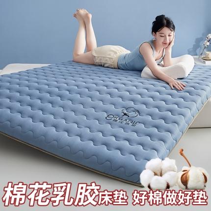 （总）纺孚床垫（过年不打烊）2024新款单边棉花乳胶床垫