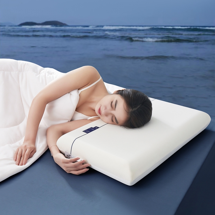 91家纺网 家纺一手货源 找家纺 剑桥枕业 云朵品质慢回弹记忆枕生物基非感温零压护颈枕无标含礼盒