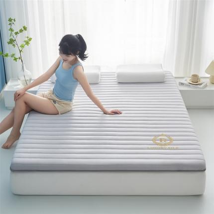 鹿辉 2025新款牛奶丝烫画单边床垫 皇冠直线灰