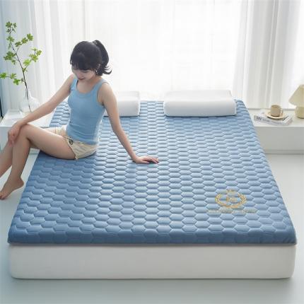 鹿辉 2025新款牛奶丝烫画单边床垫 皇冠足球蓝