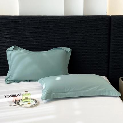 91家纺网 家纺一手货源 找家纺 莱阁亿 2023新款高支高密纯色全棉磨毛单枕套 森林绿