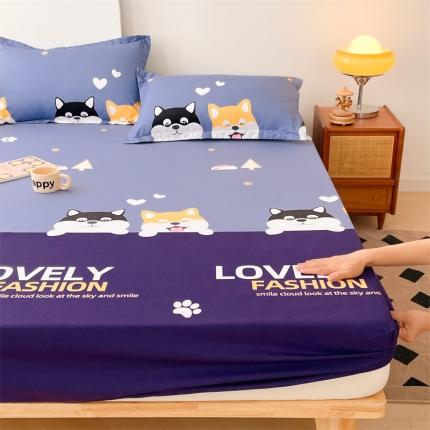 91家纺网 家纺一手货源 找家纺 总圣比熊 2025新款抗菌隔尿防水四季款单层床笠床垫保护罩床垫套