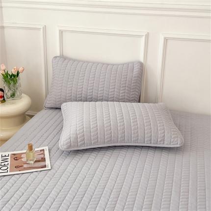 91家纺网 家纺一手货源 找家纺 （总）圣比熊 2025新款抗菌防水四季款夹棉枕套枕芯套内胆套