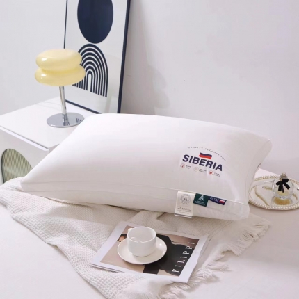 91家纺网 家纺一手货源 找家纺 （总）拾光枕芯 2023新款全棉A类西伯利亚羽丝绒高档跑量枕芯