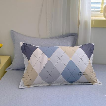 91家纺网 家纺一手货源 找家纺 拾物记 2024新款A类喷气全棉12868卡通印花单品枕套 卡斯图-蓝