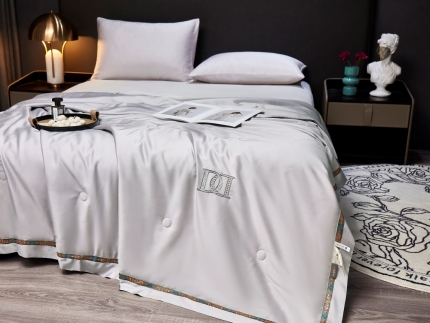 91家纺网 家纺一手货源 找家纺 （总）2025新款轻奢天丝刺绣夏凉被空调被夏被