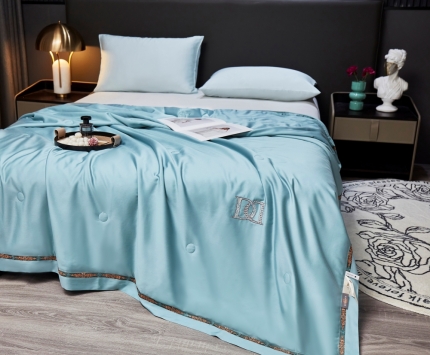 91家纺网 家纺一手货源 找家纺 （总）2025新款轻奢天丝刺绣夏凉被空调被夏被