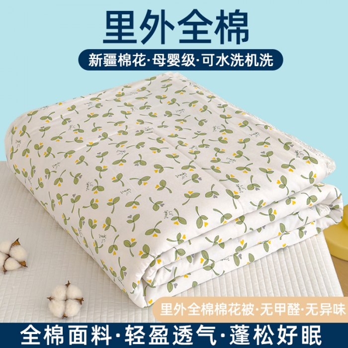 91家纺网 家纺一手货源 找家纺 芯恋 2025新款韩版花边里外全棉棉花夏被春秋被 嫩芽儿1