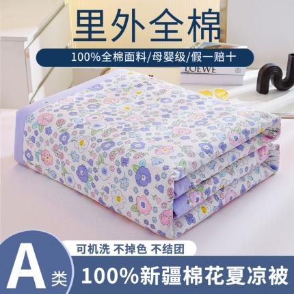 91家纺网 家纺一手货源 找家纺 鑫棉坊 2024新款新疆棉全棉印花棉花夏被 新丽瑾