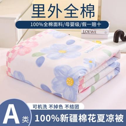 91家纺网 家纺一手货源 找家纺 鑫棉坊 2024新款新疆棉全棉印花棉花夏被 圣歌娜