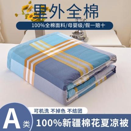 91家纺网 家纺一手货源 找家纺 鑫棉坊 2024新款新疆棉全棉印花棉花夏被 摩恩-蓝