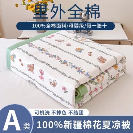 91家纺网 家纺一手货源 找家纺 鑫棉坊 2024新款新疆棉全棉印花棉花夏被 妙趣田园