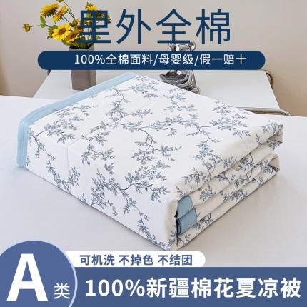 91家纺网 家纺一手货源 找家纺 鑫棉坊 2024新款新疆棉全棉印花棉花夏被 满庭