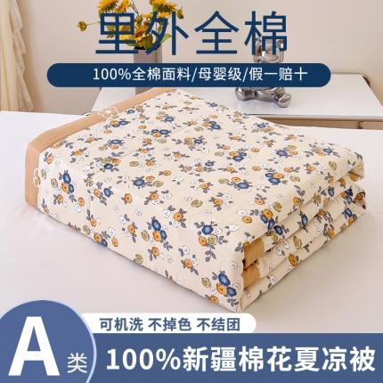 91家纺网 家纺一手货源 找家纺 鑫棉坊 2024新款新疆棉全棉印花棉花夏被 粉墨年华