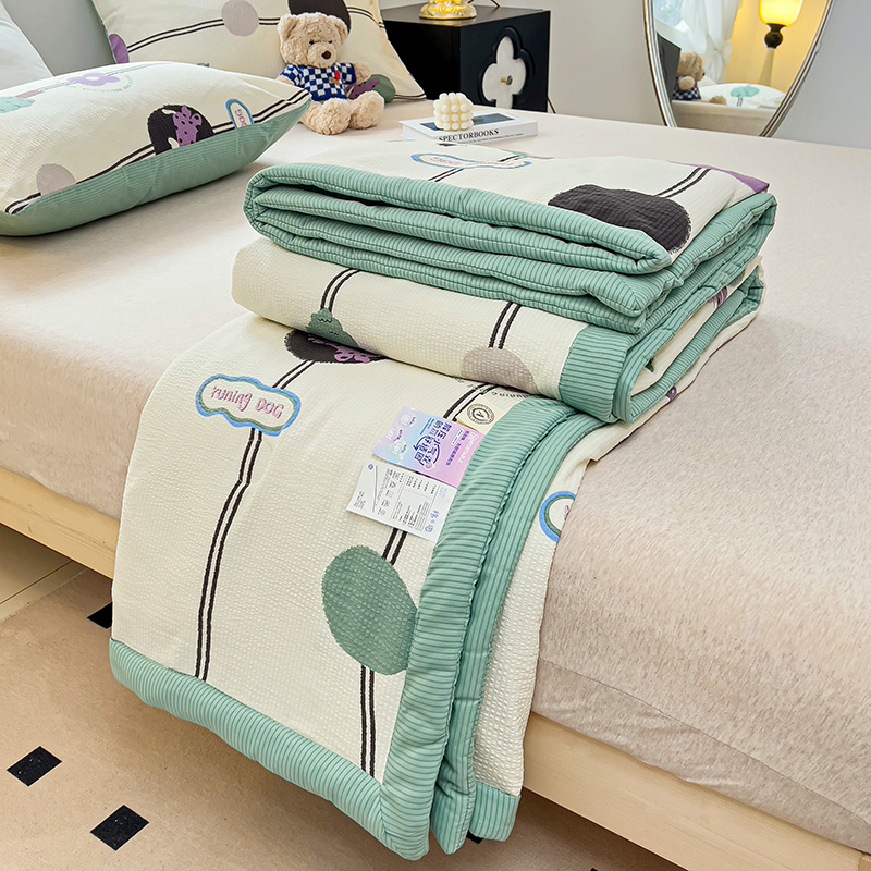 星巴K家纺 2024新款小清新柔软泡泡棉夏凉被被子空调被夏被 初夏