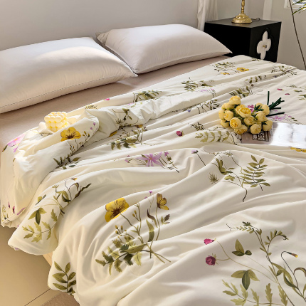 亚龙工厂店 2024新款凉感丝抗菌冰皮小凉被 迎春