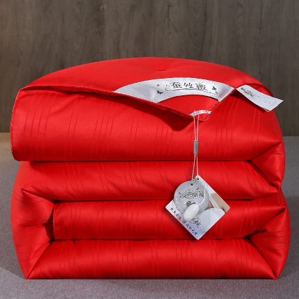 91家纺网 家纺一手货源 找家纺 （总）恒鑫家纺 2025新款蚕丝被