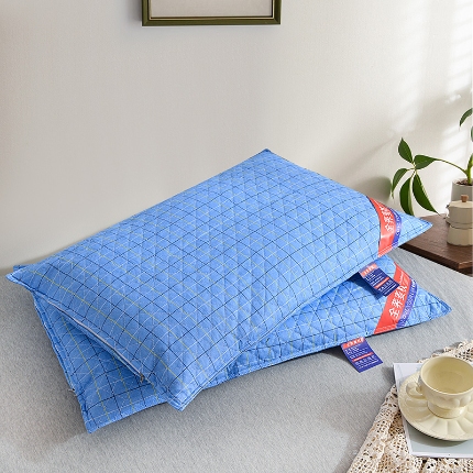 91家纺网 家纺一手货源 找家纺 （总）兴丝露枕芯 全荞麦枕芯48x74cm 水洗棉荞麦壳枕芯 全荞麦枕 全棉荞麦枕 常规成人枕 头 保健护颈枕  夏凉枕头