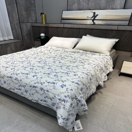 91家纺网 家纺一手货源 找家纺 （总）博尔菲 2025新款凉感丝夏被 云感·凉绵绵空调被