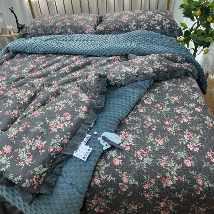 暖居 2024新款豆豆被四件套春秋单件豆豆绒被芯被褥可机洗中国美