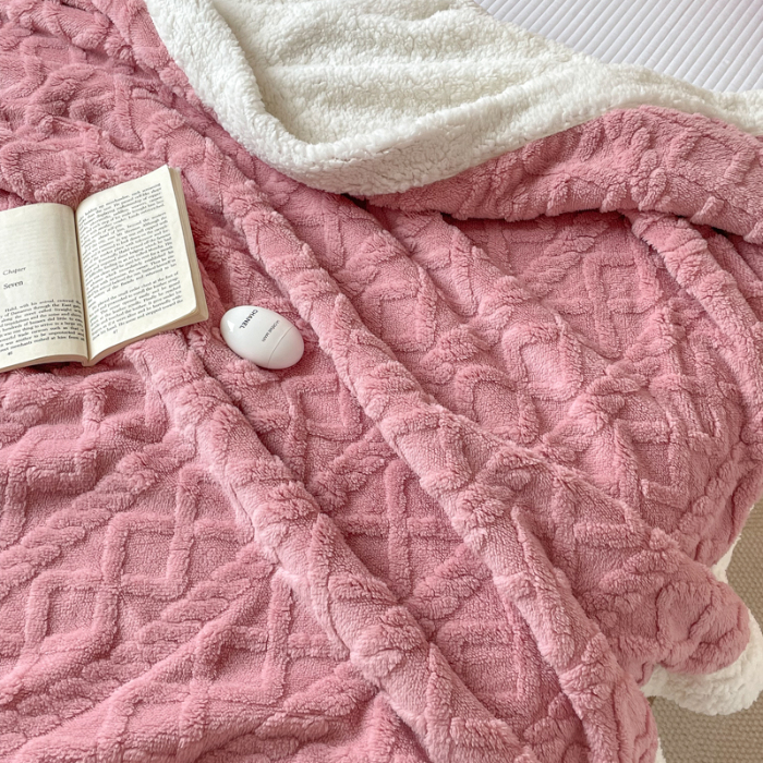 91家纺网 家纺一手货源 找家纺 （总）芸锦豪 2024新款塔芙绒&羊羔绒毛毯