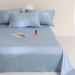 （总）2024夏 天丝床单单件床单三件套 兰精天丝单品床单枕套组合