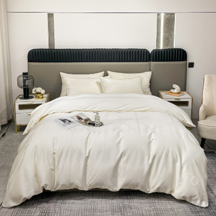 2025新款天丝天丝棉提花单被套 莫里卡 雪域白