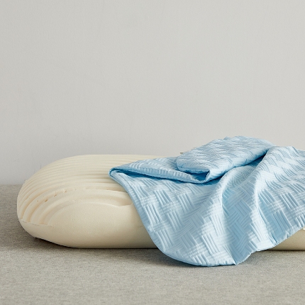 91家纺网 家纺一手货源 找家纺 （总）乐可 2024新款华夫格乳胶蛋糕枕头枕芯