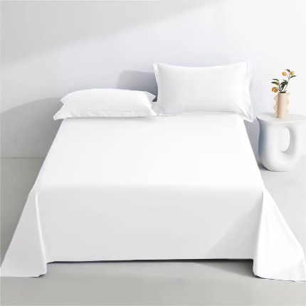 91家纺网 家纺一手货源 找家纺 （总）煌朝家纺 2024新款纯色枕套水洗棉枕套纯色赠品床单全棉枕套纯棉床单