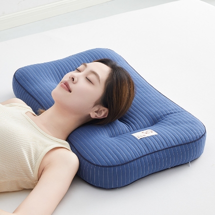 91家纺网 家纺一手货源 找家纺 （总）乐可 2024新款全棉砂洗分区荞麦枕 枕头枕芯