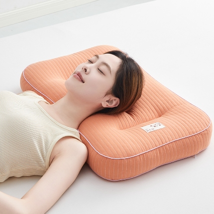 91家纺网 家纺一手货源 找家纺 （总）乐可 2024新款全棉砂洗分区荞麦枕 枕头枕芯