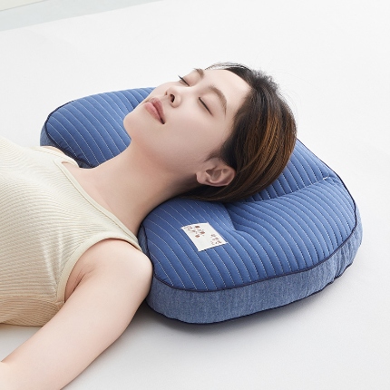 91家纺网 家纺一手货源 找家纺 （总）乐可 2024新款砂洗月牙分区荞麦枕 枕头枕芯