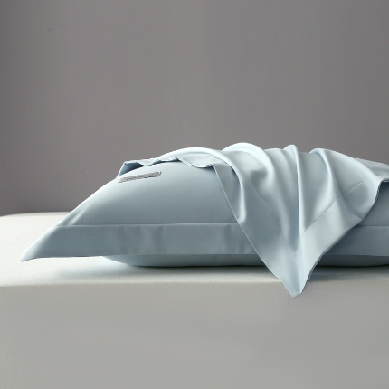 91家纺网 家纺一手货源 找家纺 （总）2024新款100支长绒棉枕套全棉贡缎枕头套纯棉枕芯套枕巾48x74cm一对装