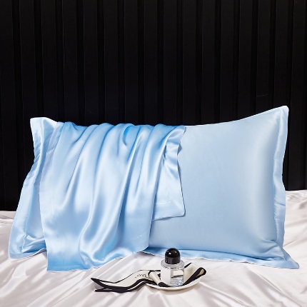 91家纺网 家纺一手货源 找家纺 （总）2024新款纯真丝枕套100%桑蚕丝枕头套枕芯套一对48x74丝绸缎面枕巾