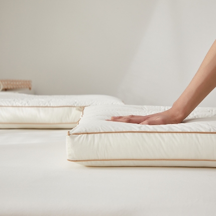 91家纺网 家纺一手货源 找家纺 （总）乐可 2024新款恬梦安睡蚕咝护颈枕 枕头枕芯