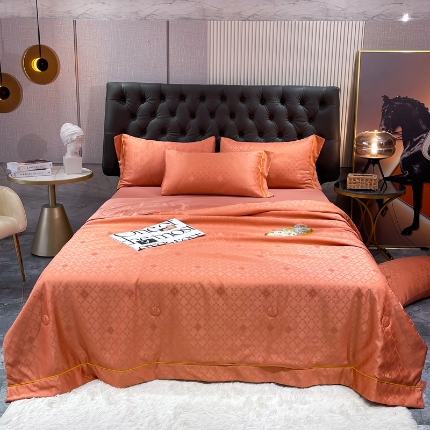 91家纺网 家纺一手货源 找家纺 （总）2025年 新款  60S贡缎提花水洗真丝冰丝天丝大豆夏被四件套 直播爆款