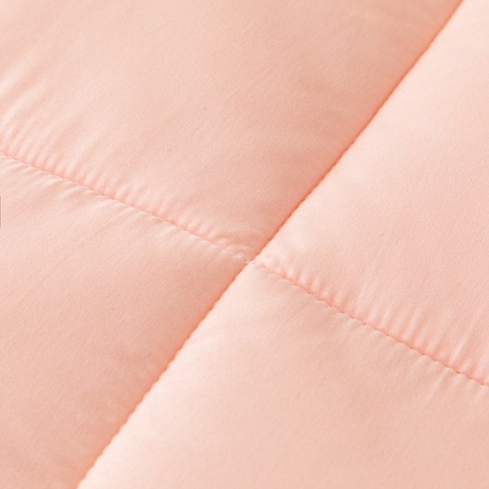 91家纺网 家纺一手货源 找家纺 宜家坊 2024可折叠A类大豆床垫床褥学生床大床单人双人水洗磨毛加厚软床褥垫子 粉色年华