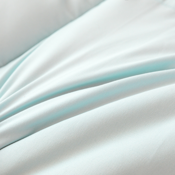 91家纺网 家纺一手货源 找家纺 宜家坊 2024可折叠A类大豆床垫床褥学生床大床单人双人水洗磨毛加厚软床褥垫子蓝翎展翅 