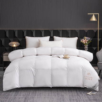 91家纺网 家纺一手货源 找家纺 （总）华盛羽绒被 2024全棉防雨布羽毛被白鹅绒春秋被冬被酒店家用可定制尺寸