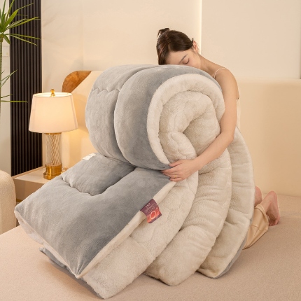 91家纺网 家纺一手货源 找家纺 （总）2025秋冬新款双面牛奶绒被子羊羔绒被子保暖加厚冬被春秋被芯被子冬被跨境外贸 